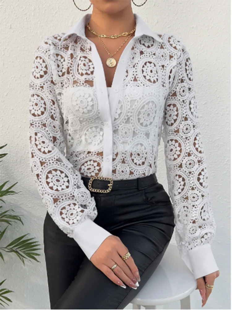 Lace Long Sleeved Solid Color V-neck Women's Shirt Elegant Versatile Daily Office Commuting Style Spring Top